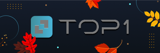 Логотип TOP1 Money